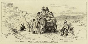 La Révolte récente au Transvaal, Réfugiés britanniques - Charles Edwin Fripp
